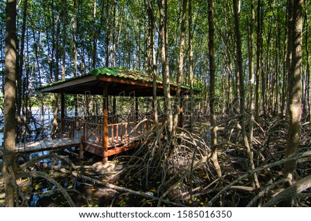 little Wood house in the mangrove forest, tropical forest, Thailand