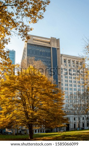 Highrise buildings in Philadelphia, Pennsylvania, downtown. Skyscrapers on blue sky with a fall trees on the foreground