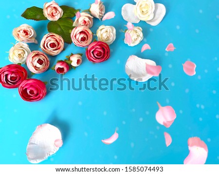 Pink white roses bouquet  on blue and coral   floral background copy space happy romantic  Valentine , women day  and birthday greetings card,Beautiful wishes quotes text on