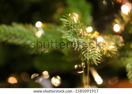 Christmas tree branches close up decorated with garland lights. Festive holiday background with artificial fir tree. Blurred backdrop