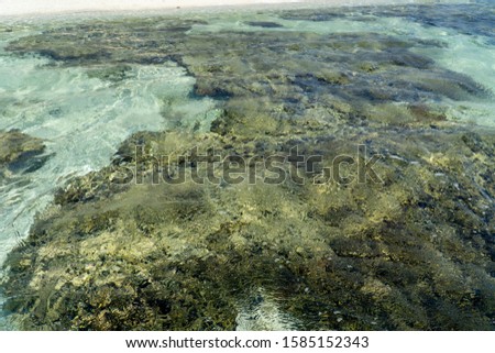 Lady Elliot Island shoreline Great Barrier Reef, Australia