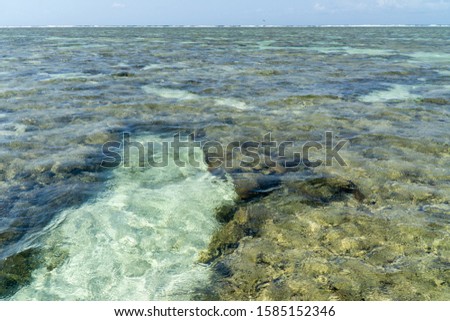 Lady Elliot Island shoreline Great Barrier Reef, Australia
