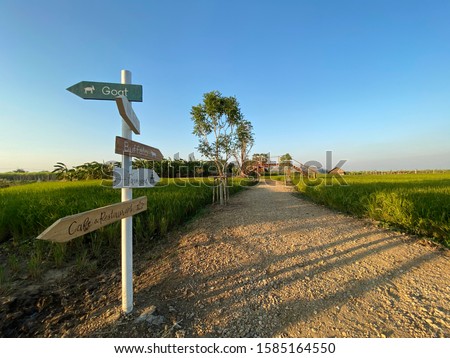 directional signpost on road in farm.