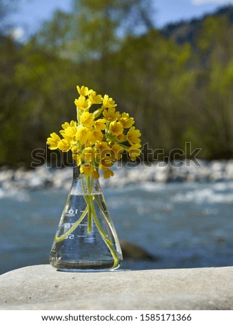 Glass bulb with yellow spring flowers.
