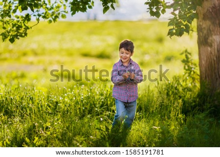 a boy with a dandelion in his hand stands in tall grass under a birch and smiles