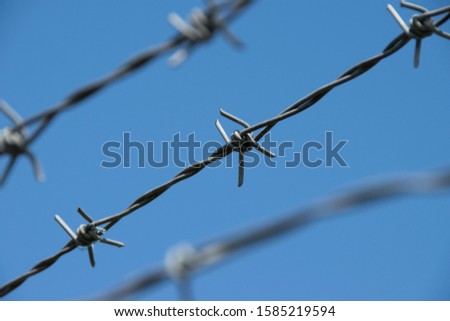 Barbed wire on sunset sky