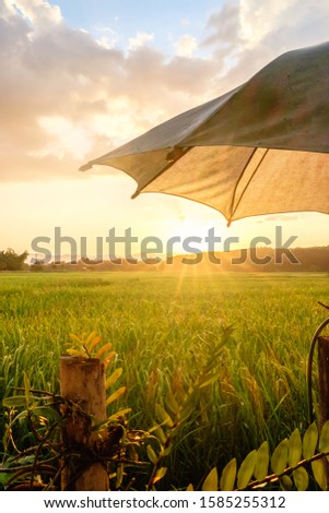 Beautiful sunset over the greeny grassland, shot from the old wooden wooden balcony with old umbrella, Scenic of sunbeams, shining from the Sun through the cloud