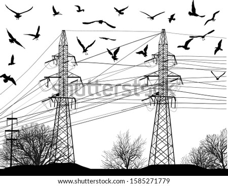 illustration with gulls above electric pylons isolated on white background