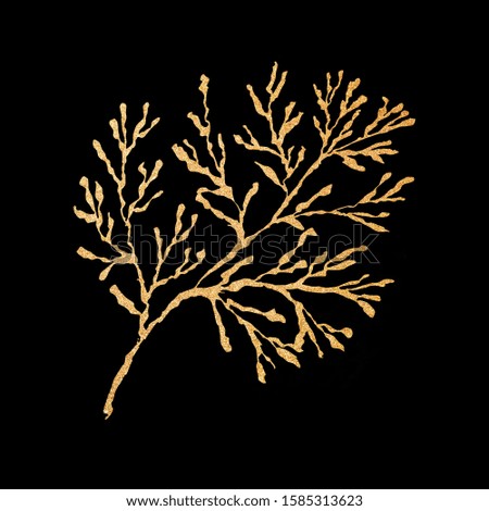 Hand drawn Christmas plants. Gold pine branch isolated on black background. Xmas greenery. New Year greeting card in modern line art style. Winter seasonal greetings, party, celebration.