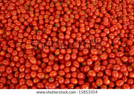 small tomato background