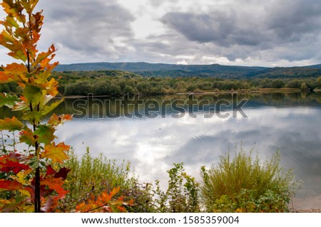colorful orange autumn on a forest lake on a sunny day