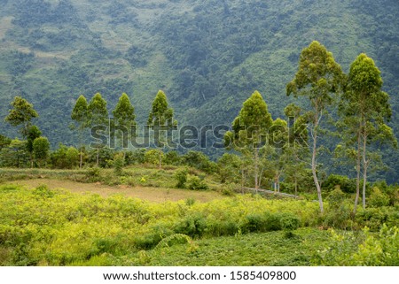 
impressive mountain landscape in Vietnam