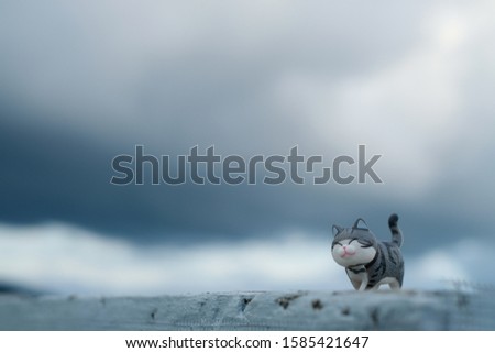 Cute cat figure and sky backgroundworld