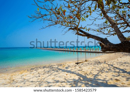 The sea in summer. This image has just been taken from the seaside view on the island in Thailand recently. In the picture there is a large branch that spreads the shade on the sand and the sea below