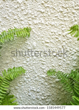 Grunge white​ wall with​ 
bracken background. Cement wall with textures is painted in bright white​.Walls​ with​ a​ scratch is​ painted with​ cerulean oil​.Abstract white​ painting art backgrounds.