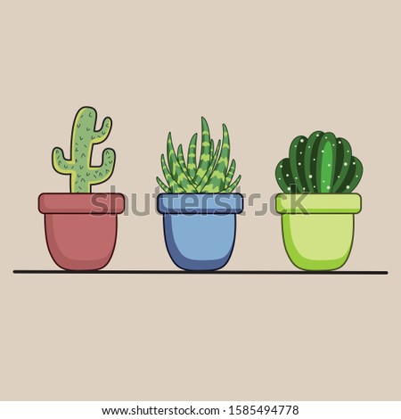 Cactus set in flat style on brown background.