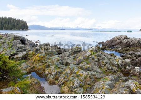 Sea view at Point Bridget State Park Juneau, Alaska Royalty-Free Stock Photo #1585534129