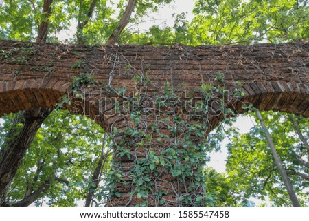 Brick pillar overgrown with ivy