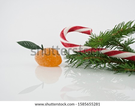 Christmas candies lollipops, tree branches, mirror image in the base, Christmas composition free space for text additions