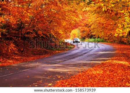 red autumn sunny road with blurred car in deep bulgarian forest  Royalty-Free Stock Photo #158573939