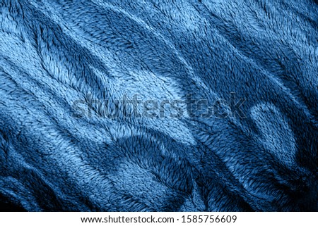 Blue color of the Year 2020 inscription. Faivorite colour of the New Year. Cloth colored in classic blue color. Concept for home design, interiors.