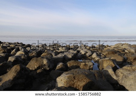 Beautiful view of the dutch wadden sea at low tide on a suny day in the winter season.