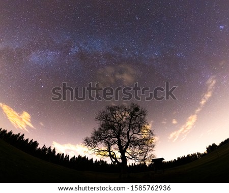 The Milky Way captured wide-spread along with the treetops with a yellow-orange glow on the horizon and lots of stars in the sky during a full night.
