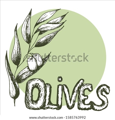 Tree branch with olives and handwritten text ,, olives ", sketch element. Monochrome drawing. Suitable for background, design, packaging, cosmetic products, decoupage. Vector illustration.Line art