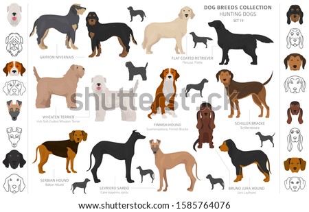 SCHILLER-BRACKE Stock Vector Images - Avopix.com