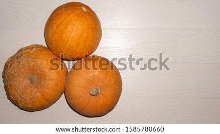 Three yellow ripe pumpkin on a wooden light background. For pumpkin carving ideas. Flat lay with copy space. Top view.
