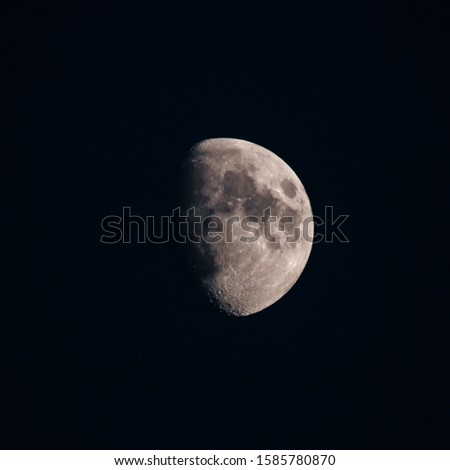 The Moon on a summer night 