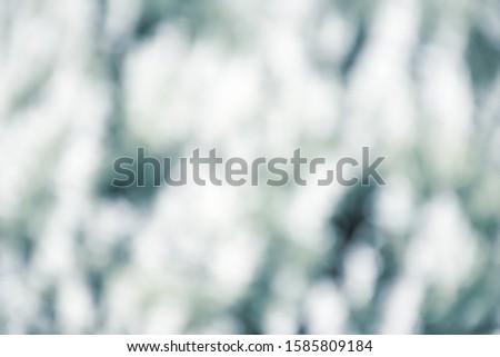snow and white color blurred abstract background