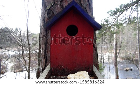 nesting box hanging on a tree in the daytime