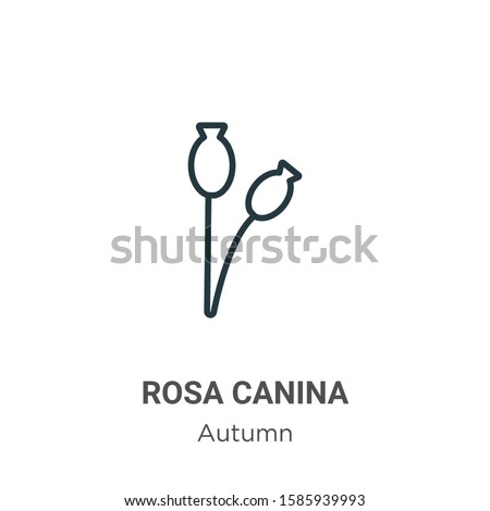 Rosa canina outline vector icon. Thin line black rosa canina icon, flat vector simple element illustration from editable autumn concept isolated on white background Royalty-Free Stock Photo #1585939993