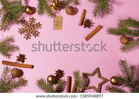 Christmas decorations on pink background. Branches ate cinnamon, star and snowflake New year and Christmas.