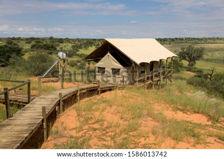 Camp in Botswana, Kgalagadi Transfrontier Park, Kalahari desert, Botswana.