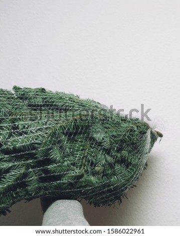 Man hand holding Christmas fir tree branches covered in white protection net