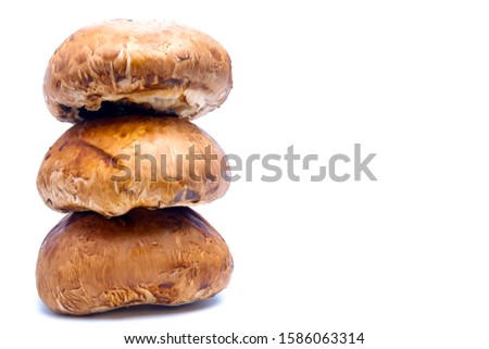 A picture of portobello mushrooms on isolated white background. The best alternative for meat burger.