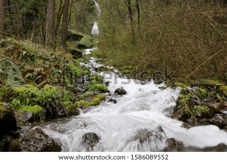 A stream falling through the mountains above