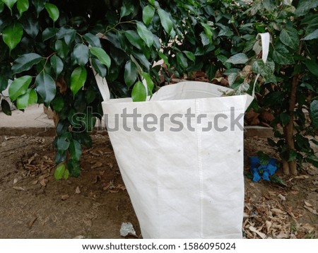 white blank shopping eco bag hanging with green plant 