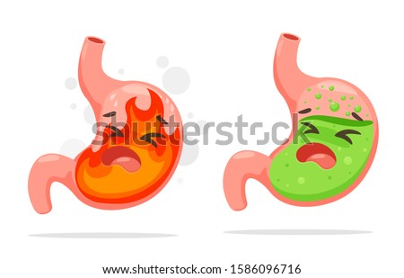 Cartoon stomach suffering from acid reflux. A stomach that burning like a fire From acid reflux.