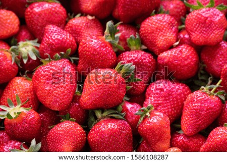 Strawberry in various sizes, red color background in freshness.