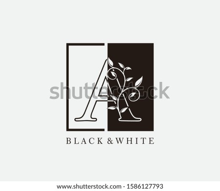 Vintage A Letter Leaves Logo. Black and White A With Square and Classy Leaves Shape design perfect for fashion, Jewelry, Beauty Salon, Cosmetics, Spa, Hotel and Restaurant Logo. 