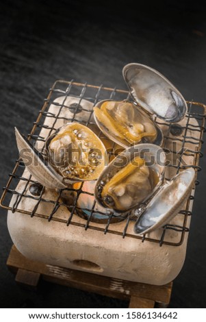  fresh clams from Japan and Hokkaido
