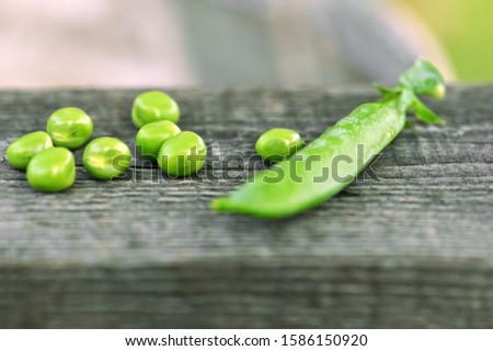Peas. One green closed pea pod and a few peas lie on a wooden Board in the garden. Macro 
