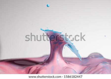 Water drop splash with pink and blue colored water and milk