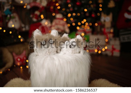 Christmas scene with beautiful bokeh in the background and arrangement with owl