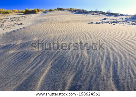 dune beauty