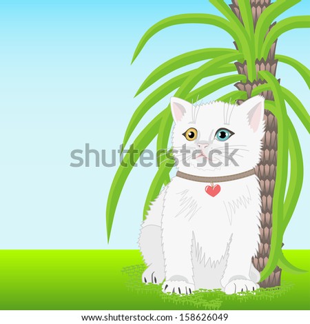 White kitten sitting under a palm tree on the grass  