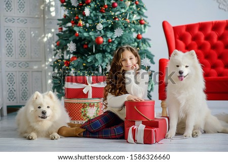
Little beautiful girl and two big fluffy white wolf dogs next to a Christmas tree and red boxes with gifts. New Year's festive interior.